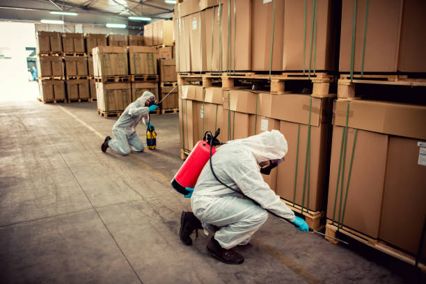 Best Emergency Pest Control  in Clay, AL