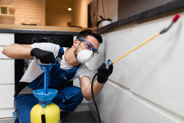 Best Cockroach Control Services  in Clay, AL