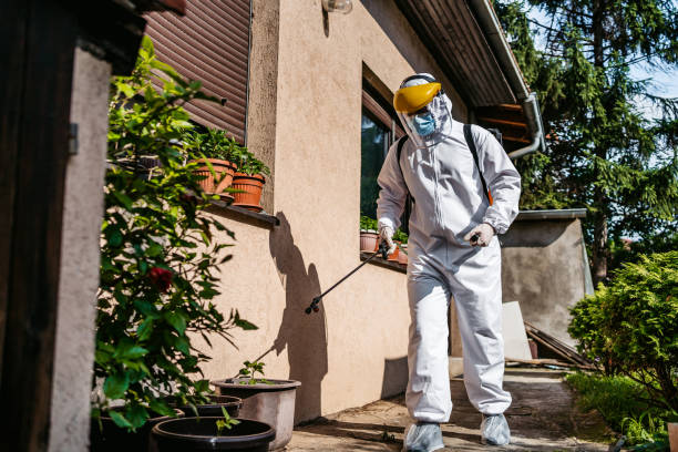 Best Pest Prevention Services  in Clay, AL