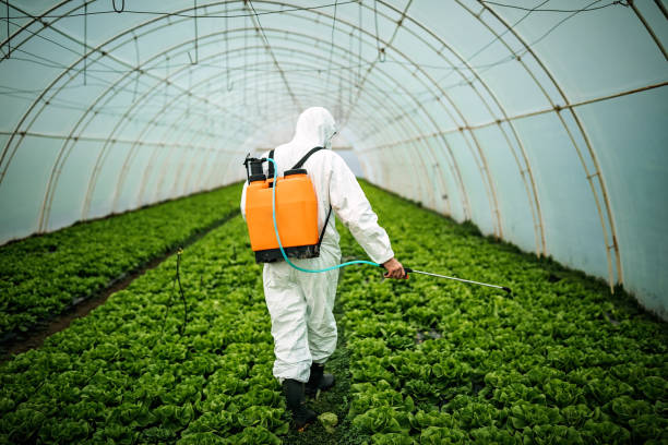 Professional Pest Control in Clay, AL